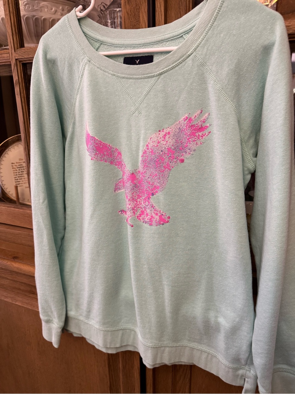 American Eagle Outfitters Mint Green Crewneck Sweatshirt with Pink Eagle Graphic